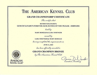 jaxson grand champion certificate