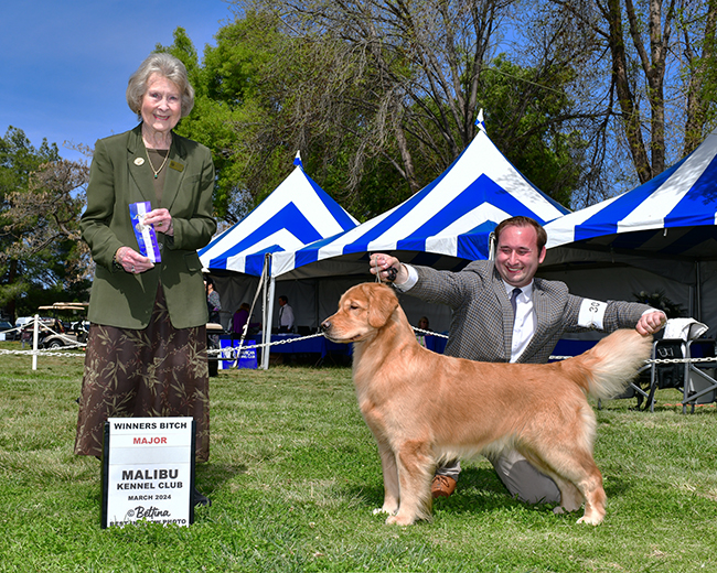 GCH Xanadu's L'il Miss Sureshot-PhoebeAnne