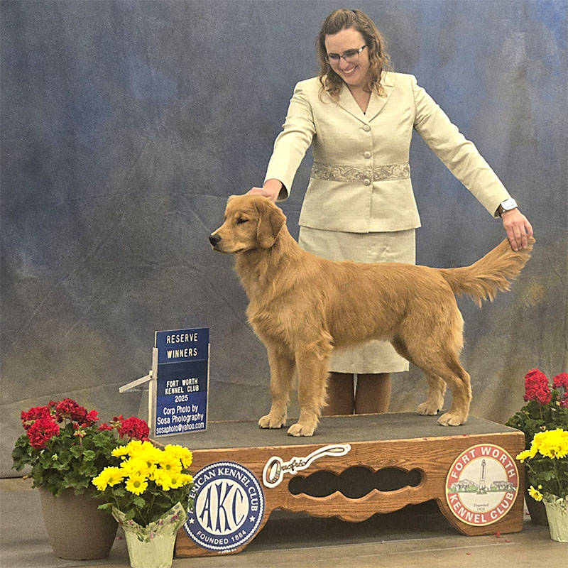 waylon reserve winners dog from 6-9 puppy class