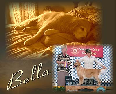 xanadu goldens memorial for bella