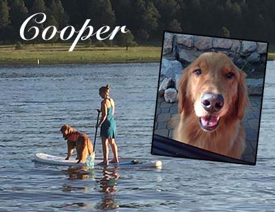 xanadu goldens memorial for cooper