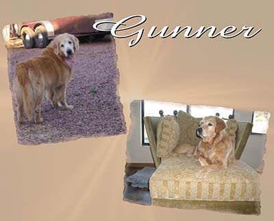 xanadu goldens memorial for Gunner