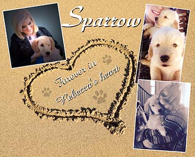 xanadu goldens memorial for Sparrow