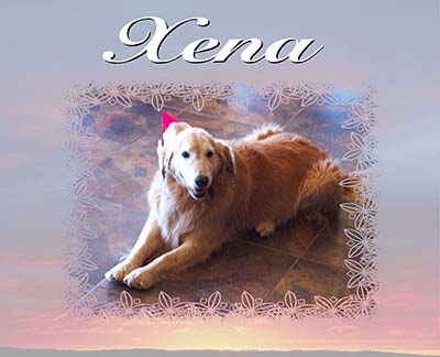 xanadu goldens memorial for xena