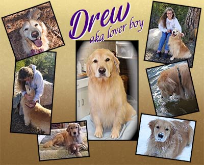 xanadu goldens memorial for drew