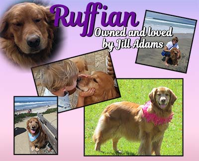 xanadu goldens memorial for ruffian