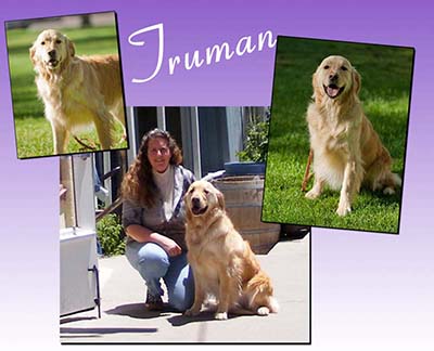xanadu goldens memorial for truman
