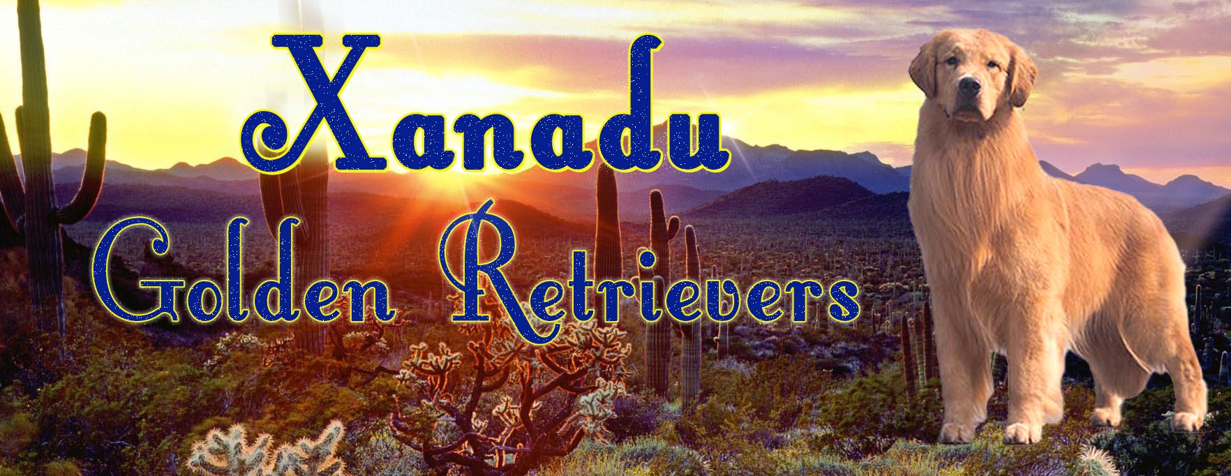 xanadu golden retrievers website header