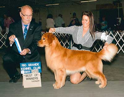 xanadu goldens Xanadu's John Wayne