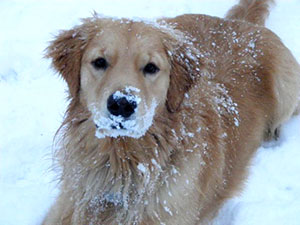 drew in the snow