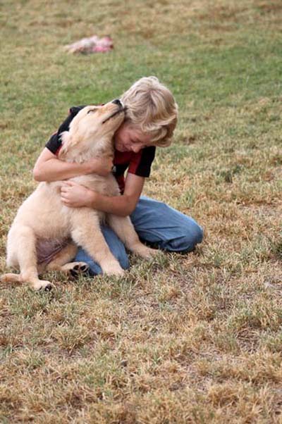 xanadu golden retriever puppies